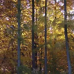 Ranczo W Dolinie Karpia - Blisko 