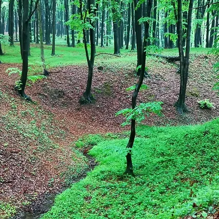 Ranczo W Dolinie Karpia - Blisko 