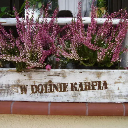 Ranczo W Dolinie Karpia - Blisko 
