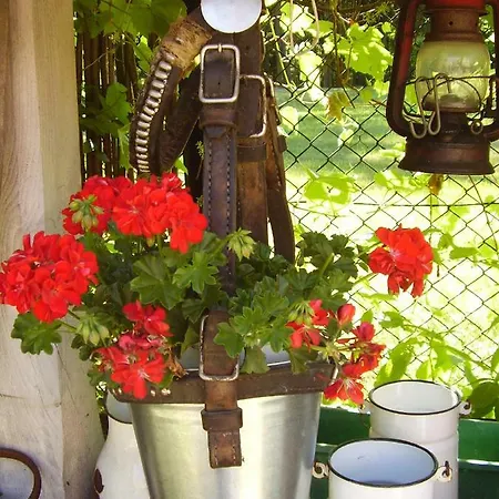 Farm stay Ranczo W Dolinie Karpia - Blisko 